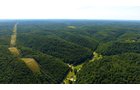 Property photo 11 - LAND AUCTION - 1,682+/- ACRES OFFERED IN 17 TRACTS IN LEWIS & GREENUP COUNTIES, KENTUCKY